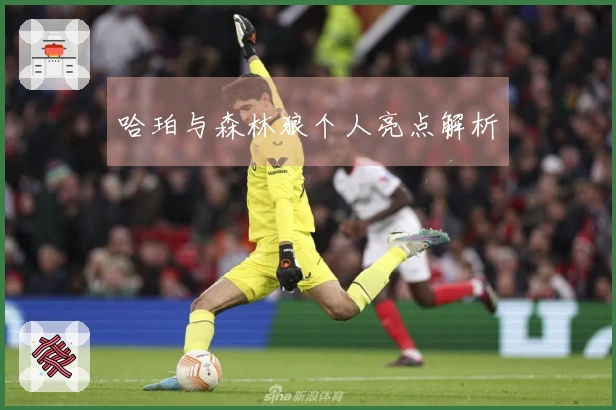 哈珀与森林狼个人亮点解析