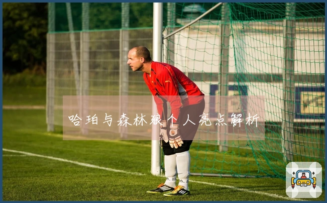 哈珀与森林狼个人亮点解析
